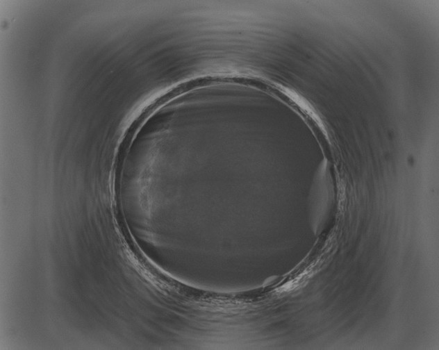 X0000086300935200704091017