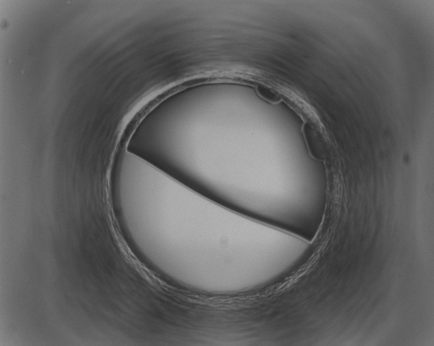 X0000086300936200704091017