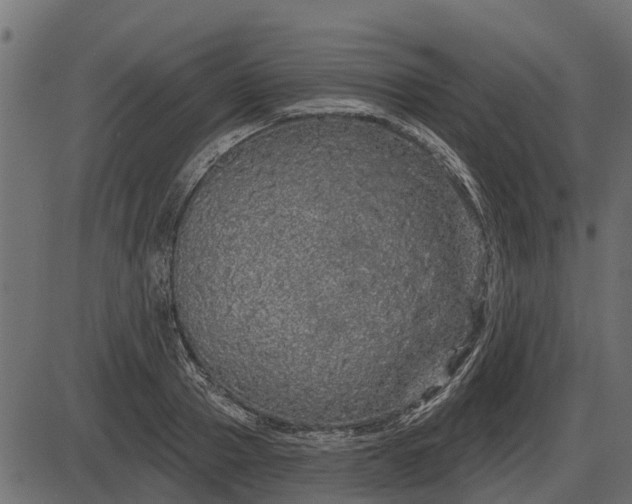 X0000086300937200704091017