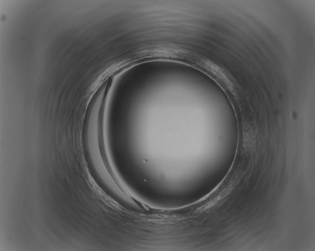 X0000086300938200704091017