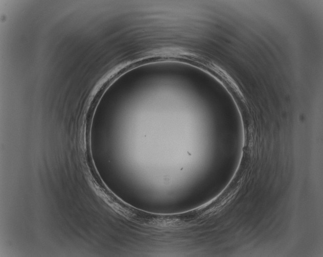 X0000086300939200704091017