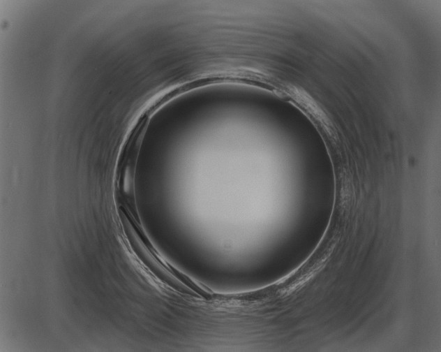 X0000086300940200704091017