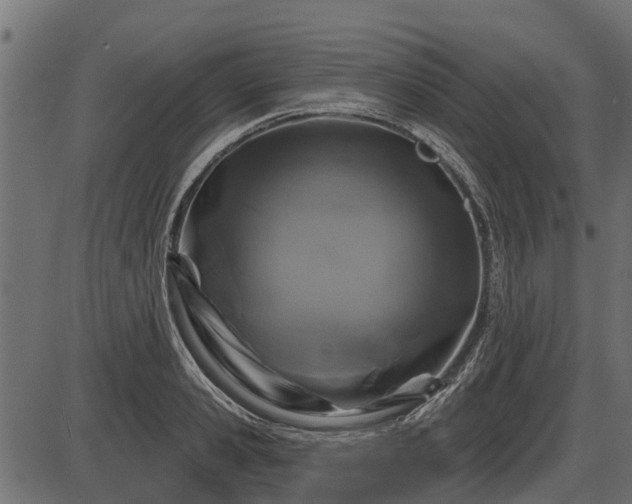 X0000086300941200704091017