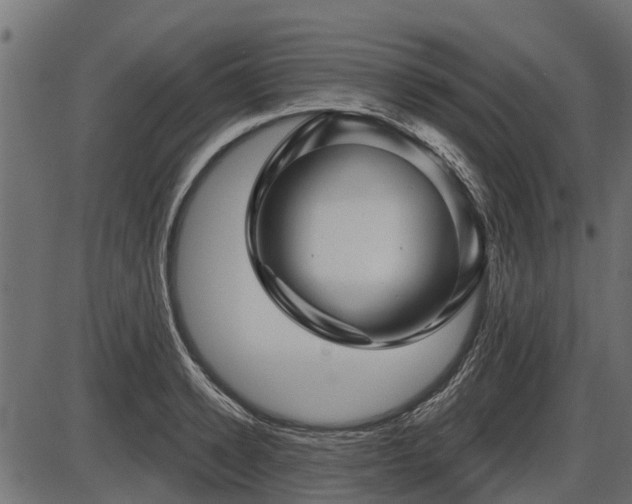 X0000086300942200704091017