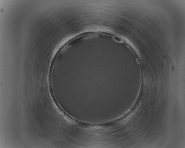 X0000086300943200704091018