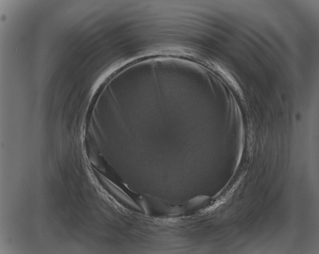 X0000086300944200704091018