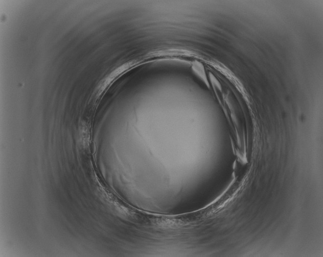 X0000086300945200704091018