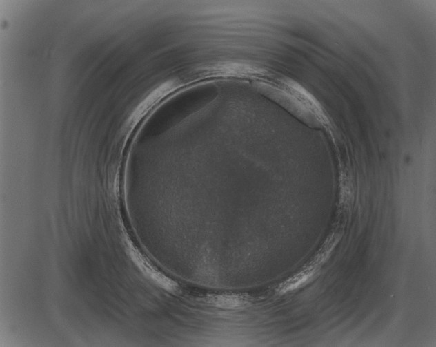 X0000086300946200704091018