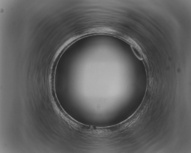 X0000086300947200704091018