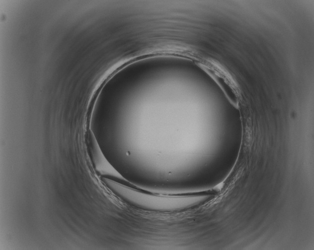 X0000086300948200704091018