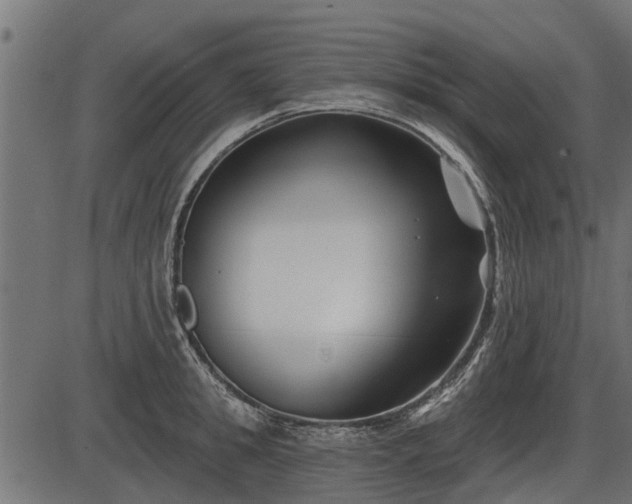 X0000086300949200704091018