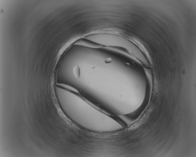 X0000086300952200704091018