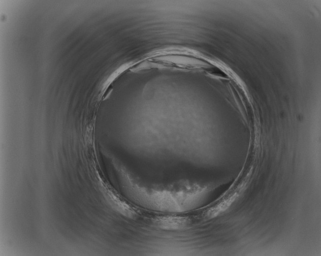 X0000086300953200704091018