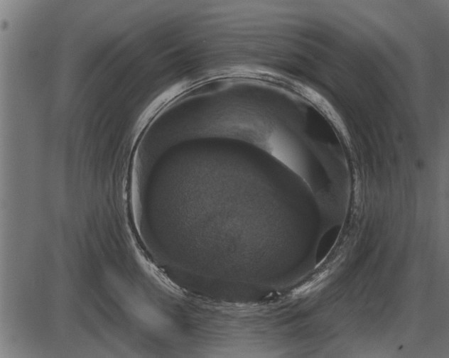 X0000086300954200704091018