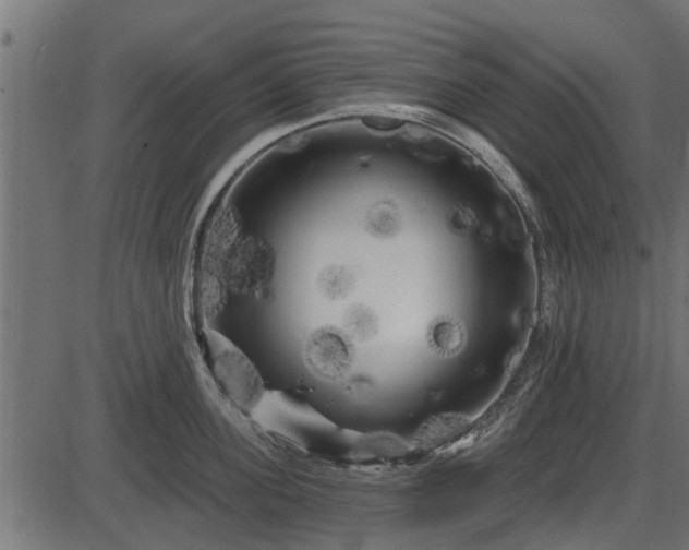 X0000086300955200704091018