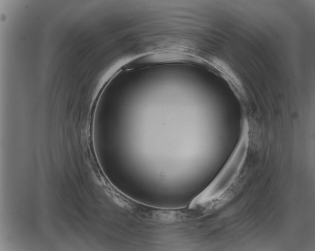 X0000086300956200704091018