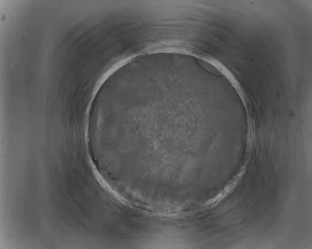 X0000086300957200704091018