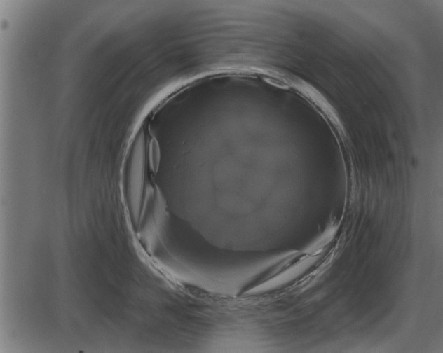 X0000086300958200704091018