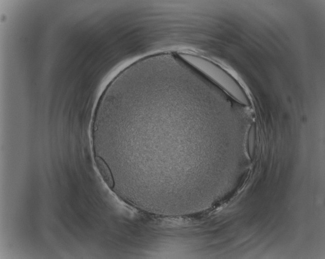 X0000086300959200704091018