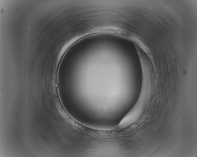 X0000086300960200704091018