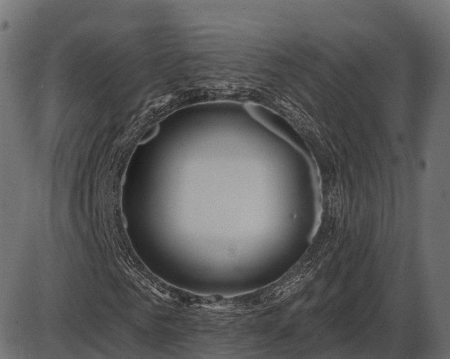 X0000086300961200704091017