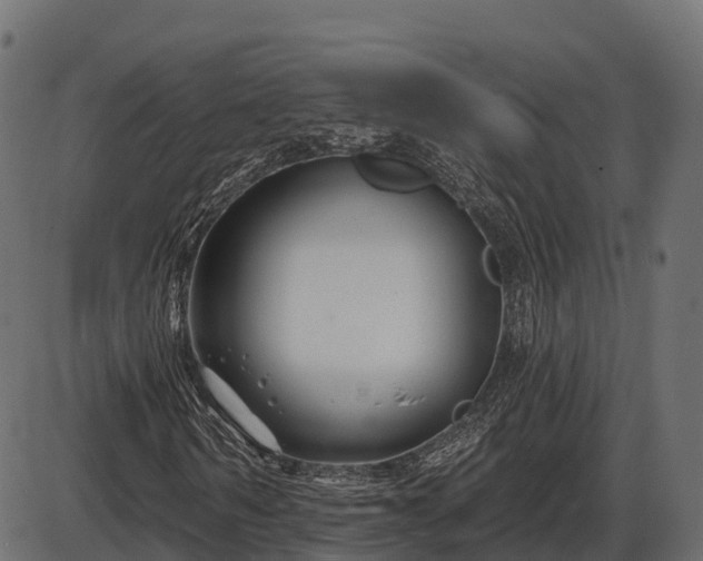 X0000086300962200704091017