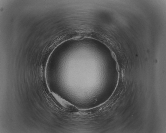 X0000086300963200704091017