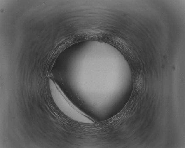 X0000086300964200704091017