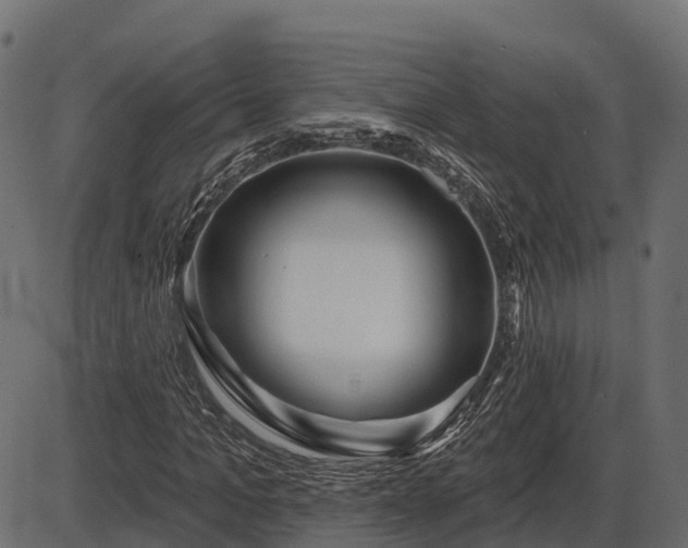 X0000086300965200704091017