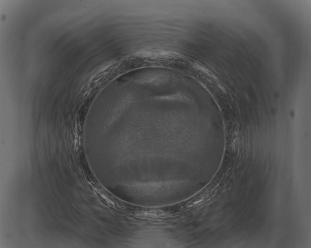 X0000086300966200704091017