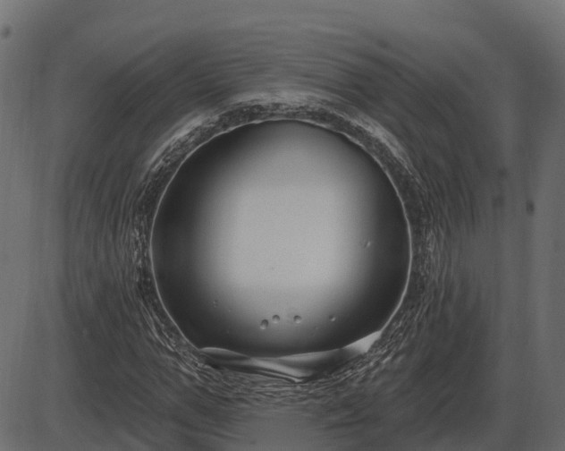 X0000086300967200704091017