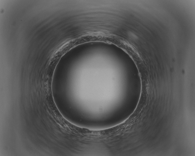 X0000086300968200704091017