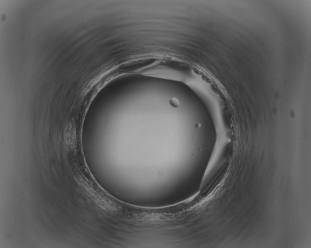 X0000086300969200704091017