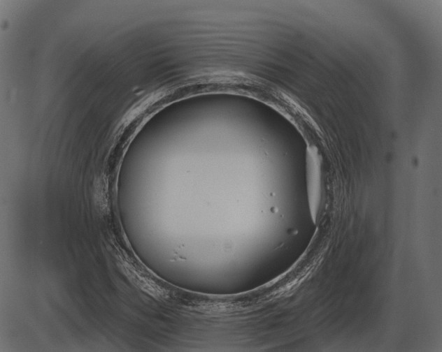 X0000086300970200704091017