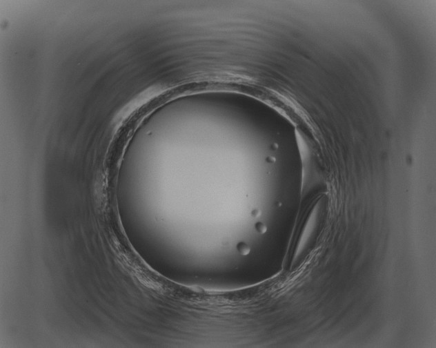 X0000086300971200704091017