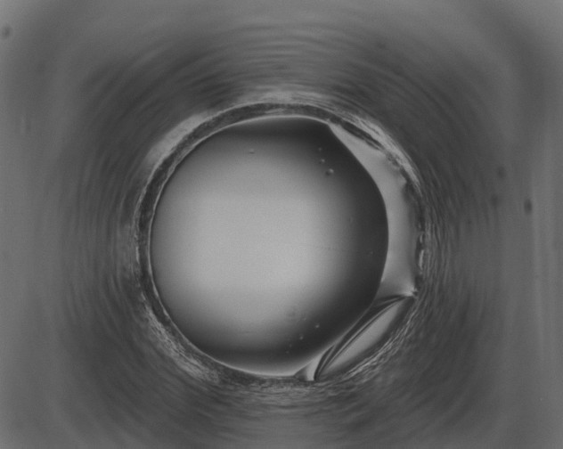 X0000086300972200704091017