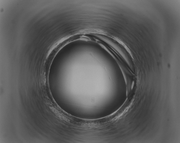 X0000086300973200704091017