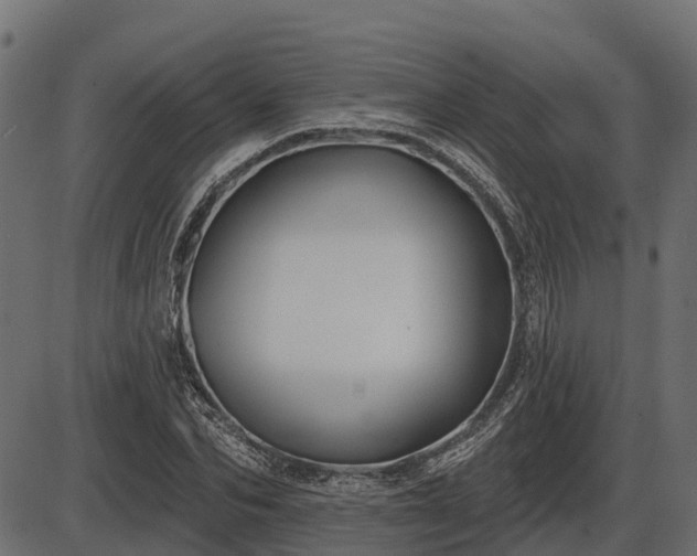 X0000086300974200704091017