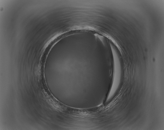 X0000086300975200704091017