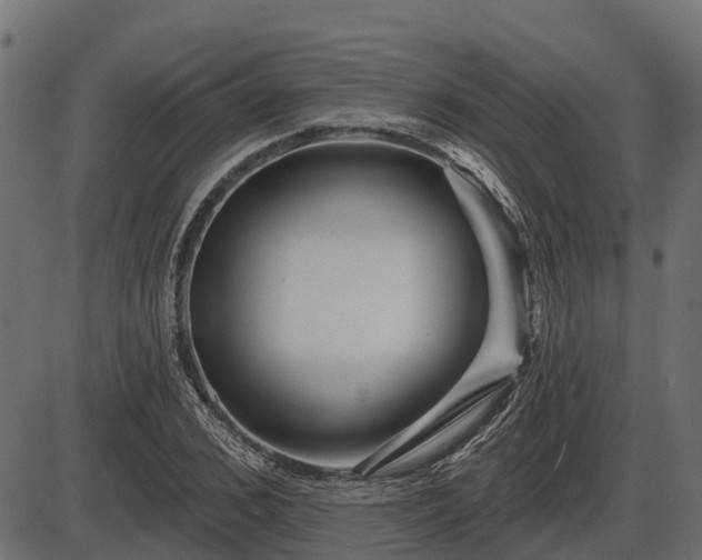 X0000086300976200704091017