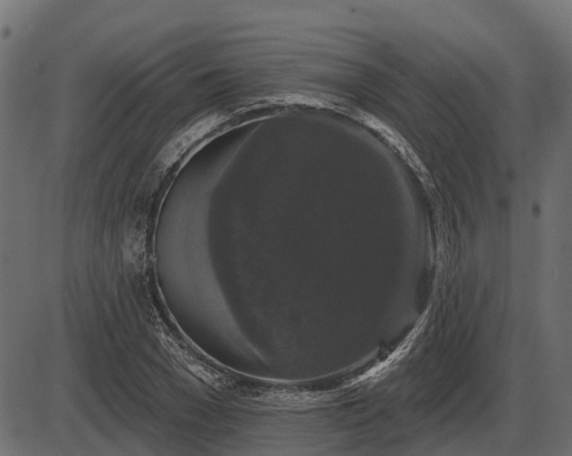 X0000086300977200704091017