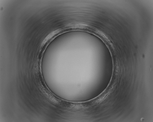 X0000086300978200704091017