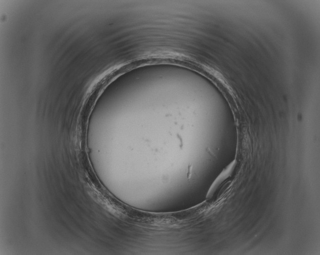 X0000086300979200704091017