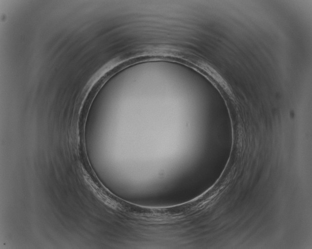 X0000086300980200704091017