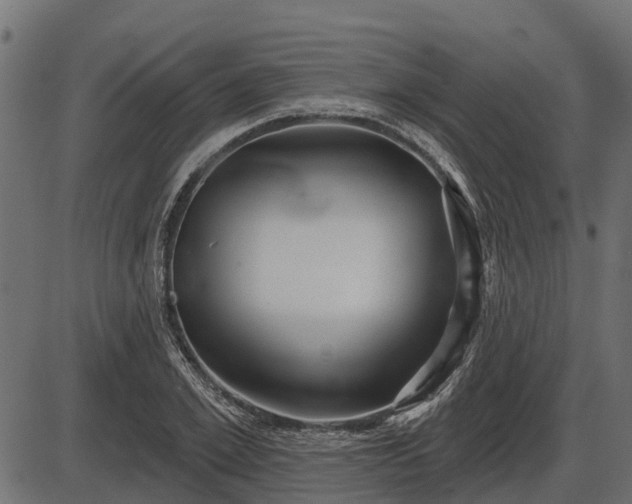 X0000086300981200704091017