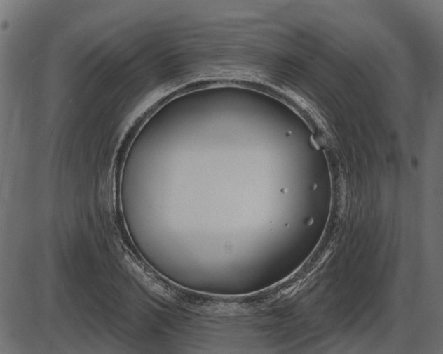 X0000086300982200704091017