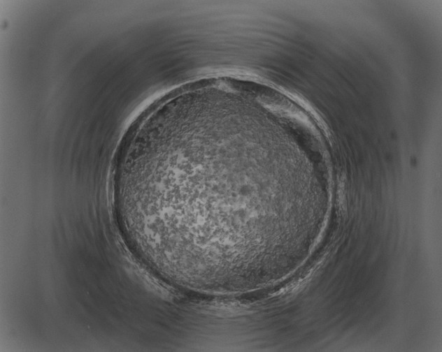 X0000086300983200704091017