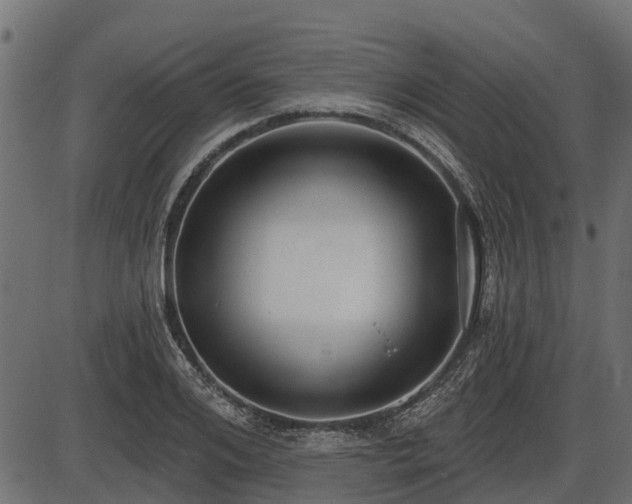 X0000086300984200704091017