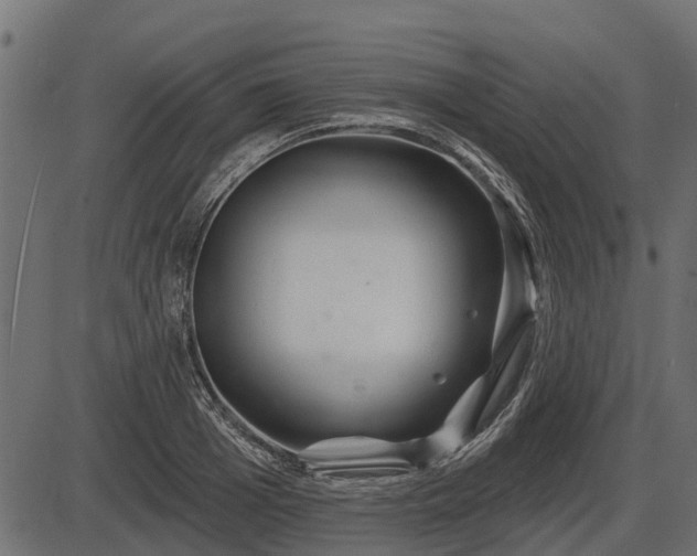 X0000086300985200704091017