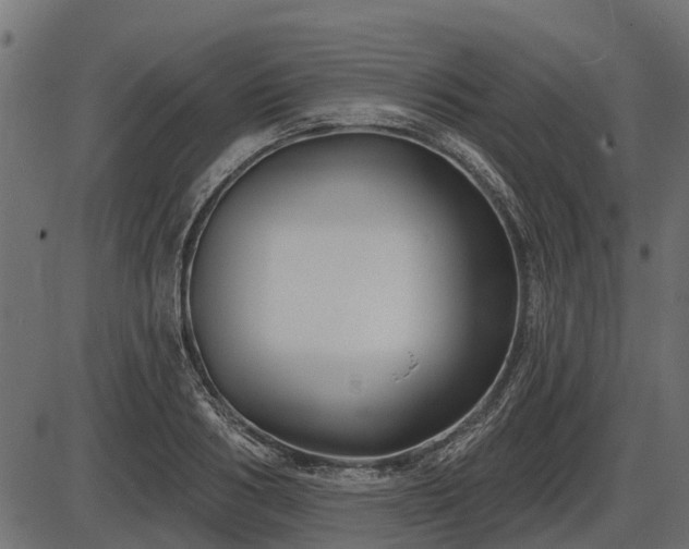 X0000086300986200704091017